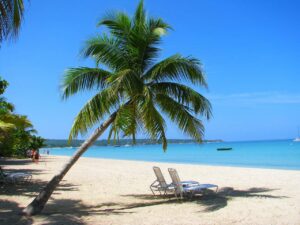8 Reasons To Visit Jamaica