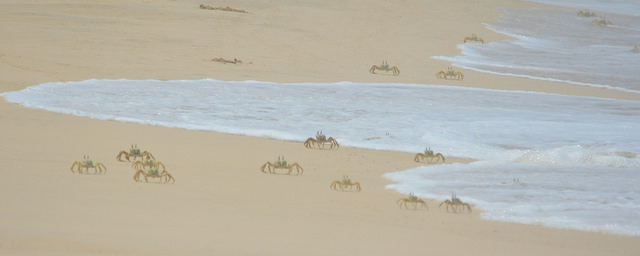 14538076499_3a56ddf113_z