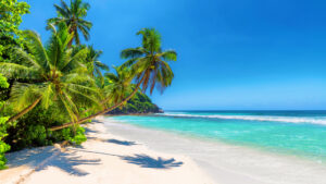 11 Facts You Did Not Know About Jamaica