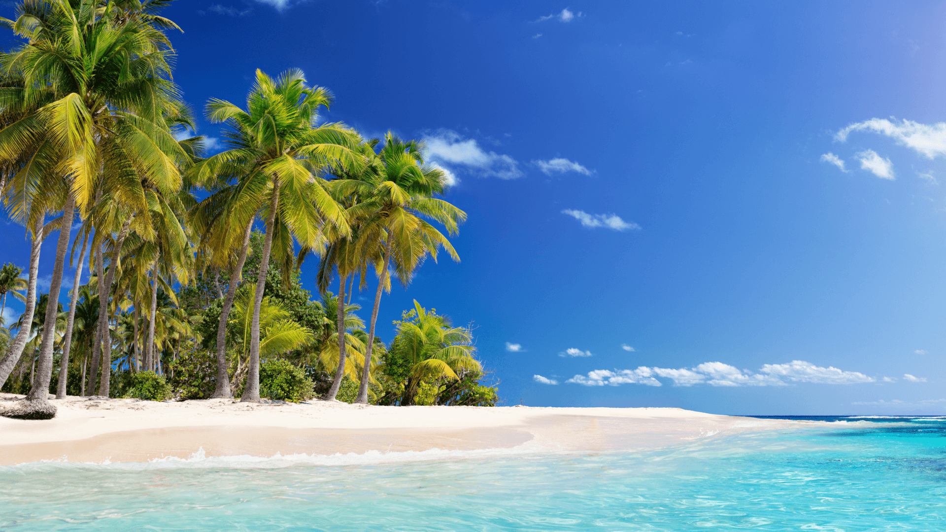 Caribbean Holidays 2024/2025 Holidays to the Caribbean